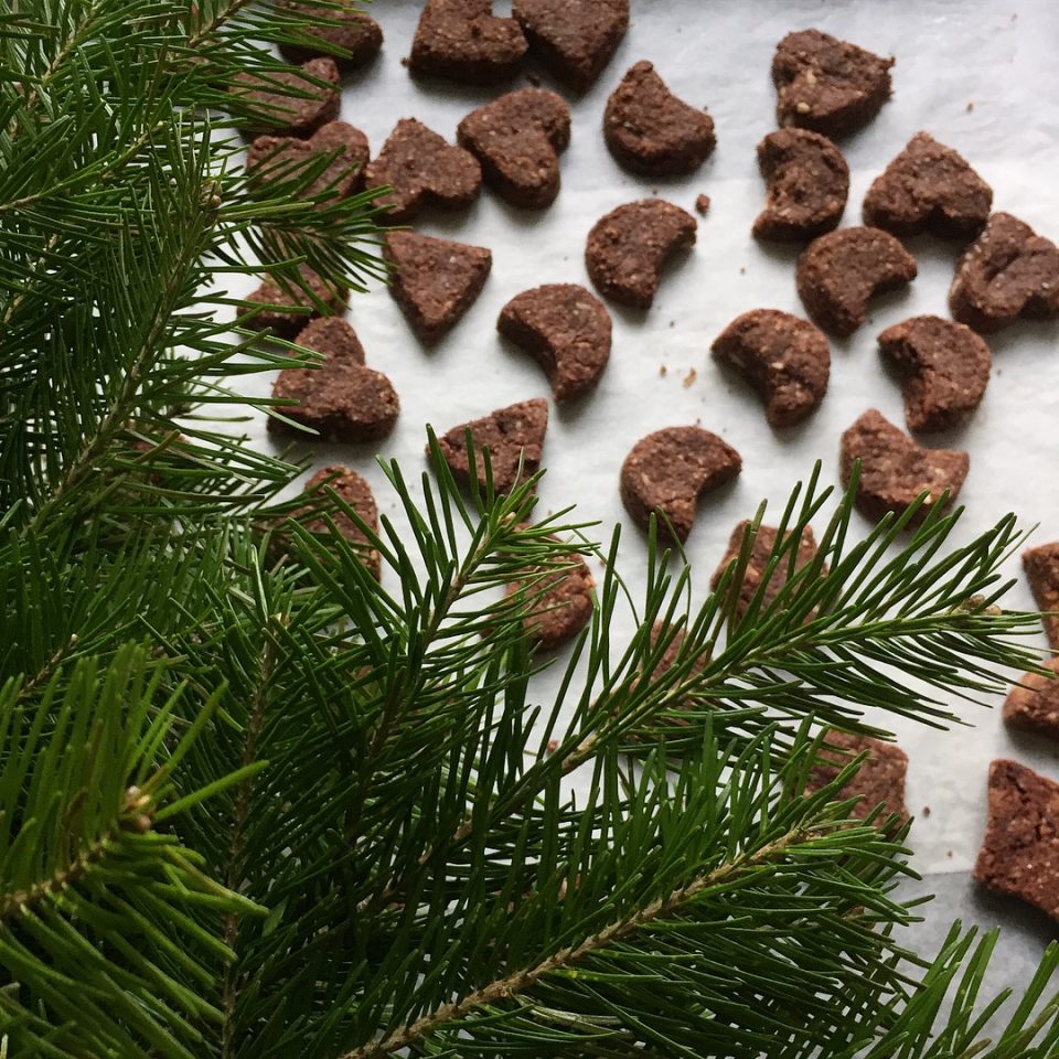 4 рецепта рождественского печенья — просто и волшебно